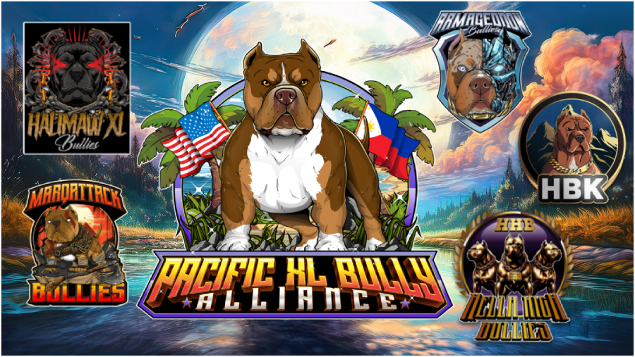 Pacific XL Bully Alliance